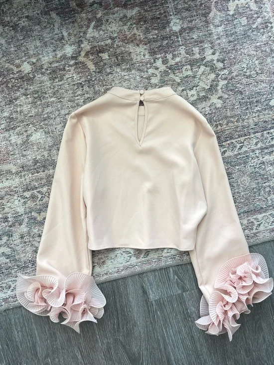 Zara Blush Pink Long-Sleeve Top with Pleated Ruffle Cuffs - Picture 5 of 6